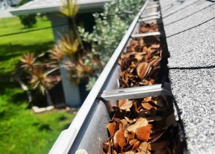 Wyandotte gutter cleaning home page